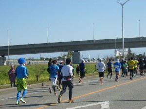 H２７富山マラソン (19)