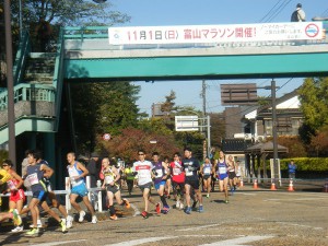 H２７富山マラソン (15)